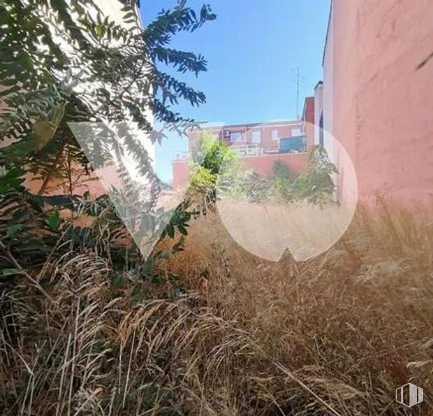 Suelo en venta en Calle Mar Cantábrico, Hortaleza, Madrid, 28033 con planta, durante el día, cielo, comunidad vegetal, edificio, ventana, rama, ramita, lote de terreno y madera alrededor