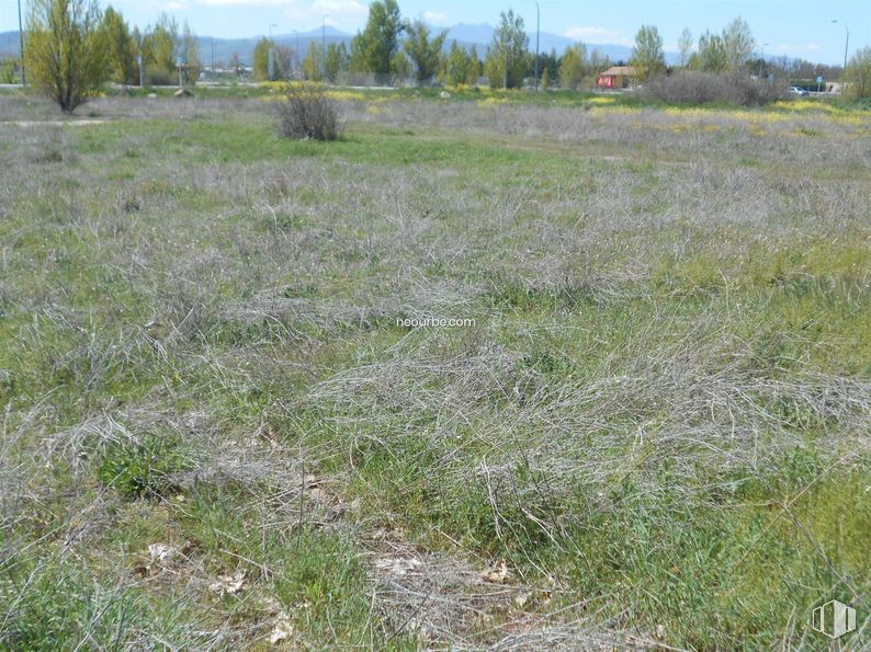 Land for sale at Calle Hoyo de Pinares, Ávila, 05002 with plant, natural landscape, tree, cloud, sky, grass, groundcover, plain, grassland and landscape around