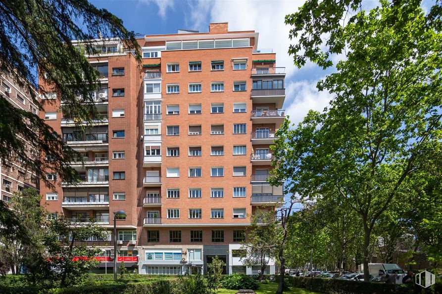 Oficina en alquiler en Avenida Alberto Alcocer, 7, Chamartín, Madrid, 28036 con edificio, cielo, nube, planta, ventana, árbol, bloque de pisos, condominio, vegetación y diseño urbano alrededor