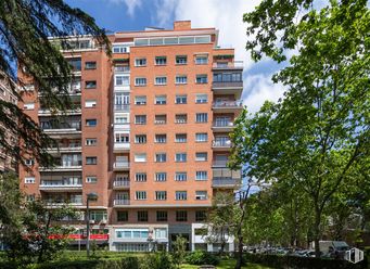 Oficina en alquiler en Avenida Alberto Alcocer, 7, Chamartín, Madrid, 28036 con edificio, cielo, nube, planta, ventana, árbol, bloque de pisos, condominio, vegetación y diseño urbano alrededor