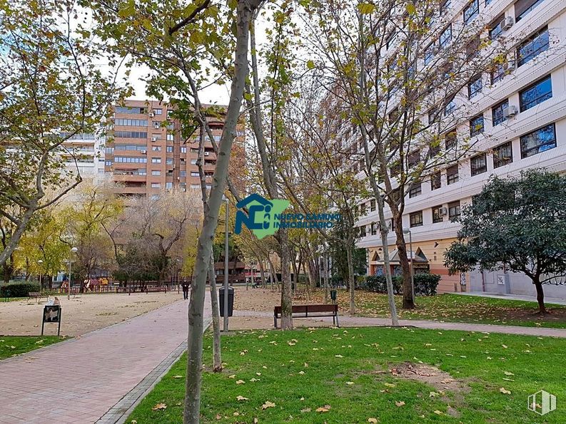 Local en alquiler en Calle de Luis de Salazar, Chamartín, Madrid, 28002 con edificio, mesa de trabajo, día, planta, naturaleza, árbol, rama, ventana, diseño urbano y superficie de carretera alrededor