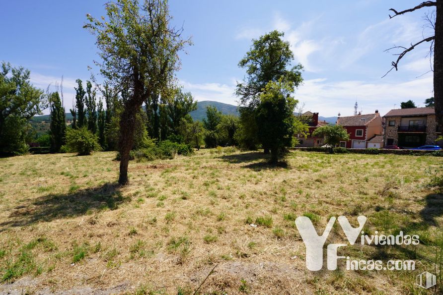 Land for sale at Calle Bajada Escorial, 1, Riaza, Segovia, 40500 with sky, cloud, plant, plant community, natural landscape, land lot, tree, grassland, landscape and grass around