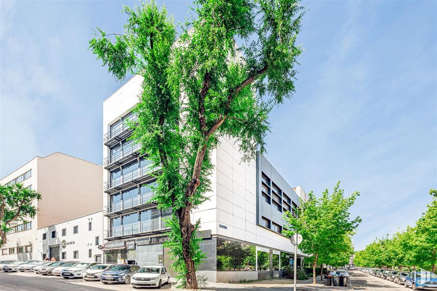 Oficina en alquiler en Calle Miguel Yuste, 58, San Blas - Canillejas, Madrid, 28037 con edificio, cielo, planta, nube, vegetación, bloque de pisos, diseño urbano, superficie de la carretera, árbol y condominio alrededor