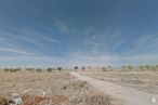 Land for sale at Calle Sector, Las Ventas de Retamosa, Toledo, 45183 with sky, cloud, plant, natural landscape, landscape, plain, grass, horizon, tree and grassland around