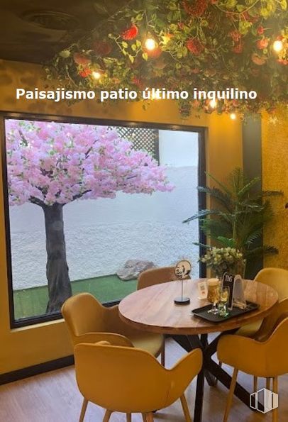 Retail for sale at Paseo San Francisco de Sales, 27, Chamberí, Madrid, 28003 with chair, table, flower, plant, furniture, interior design, purple, branch, lighting and decoration around