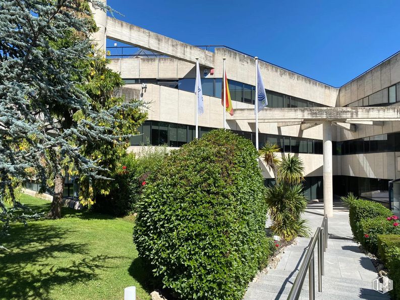 Oficina en alquiler y venta en Edificio Ecu, Calle Pollensa, 6, Las Rozas de Madrid, Madrid, 28230 con planta, cielo, edificio, diseño urbano, zona residencial, hierba, arbusto, inmobiliario, fachada y cubierta vegetal alrededor