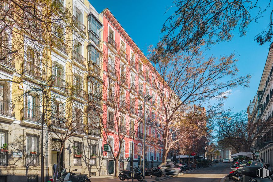 Oficina en alquiler en Zona Recoletos, Salamanca, Madrid, 28001 con edificio, motocicleta, cielo, rueda, ventana, neumático, infraestructura, rama, árbol y superficie de la carretera alrededor