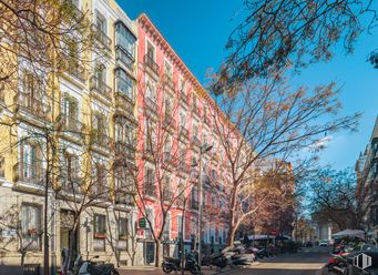 Office for rent at Zona Recoletos, Salamanca, Madrid, 28001 with building, motorcycle, sky, wheel, window, tire, infrastructure, branch, tree and road surface around