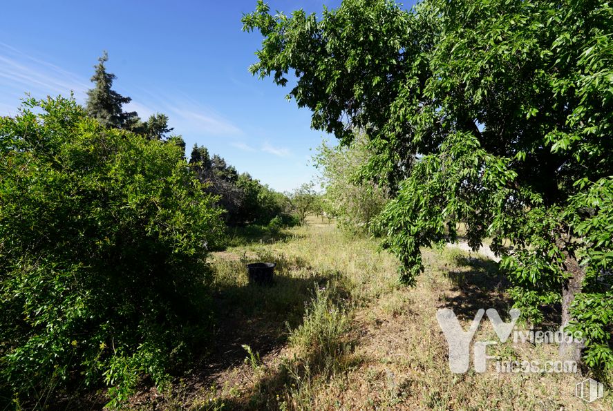 Suelo en venta en Zona polígono industrial Arboledas, Illescas, Toledo, 45200 con planta, cielo, nube, paisaje natural, lote de terreno, árbol, arbusto, paisaje, zona rural y pradera alrededor