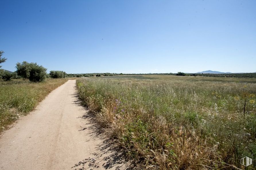 Suelo en venta en Camino Fuente Cordel, Argés, Toledo, 45122 con cielo, planta, comunidad de plantas, árbol, paisaje natural, terreno, pastizal, llanura, hierba y paisaje alrededor