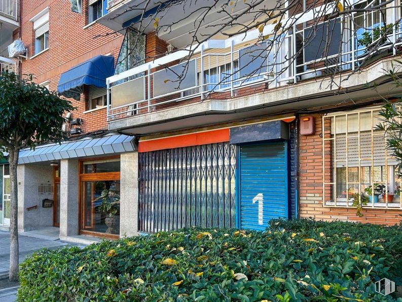 Local en venta en Zona centro joven Alcorcón, Alcorcón, Madrid, 28923 con ventana, edificio, planta, propiedad, accesorio, diseño urbano, barrio, zona residencial, árbol y pared alrededor