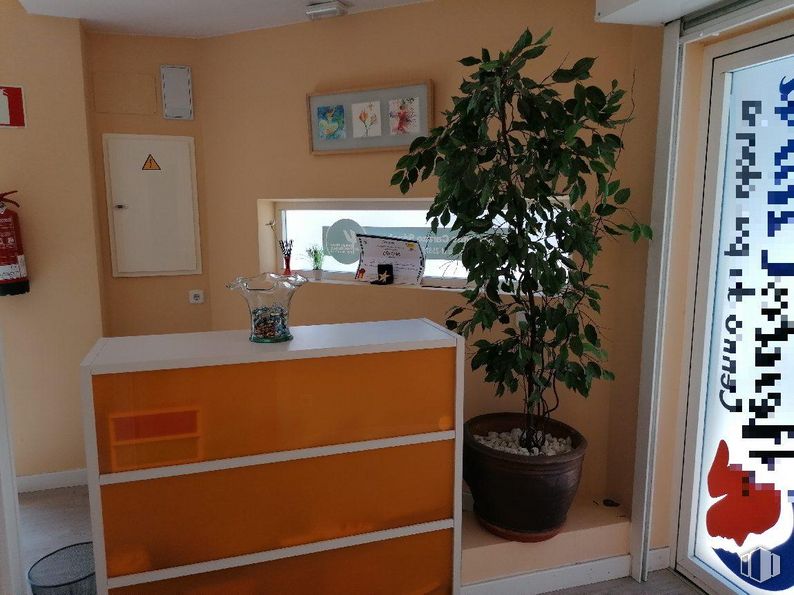 Retail for sale at Zona Estación, Las Rozas de Madrid, Madrid, 28230 with houseplant, flowerpot, 2d barcode, cabinetry, plant, interior design, fixture, wall, wood and drawer around