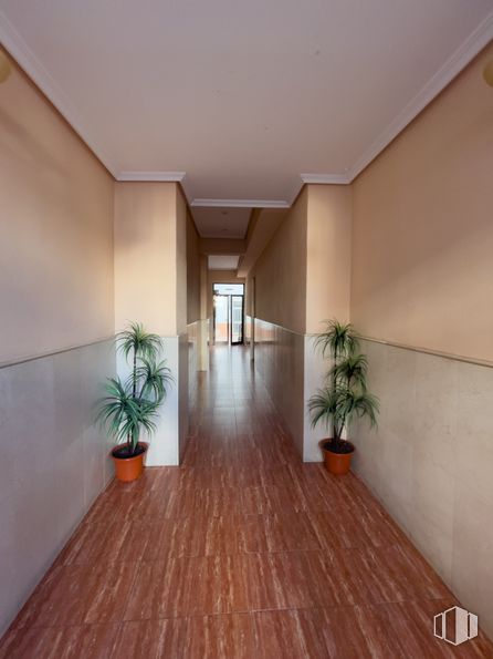 Local en venta en Avenida Ciudad de Barcelona, 178, Retiro, Madrid, 28007 con planta de interior, planta, edificio, propiedad, madera, pasillo, casa, suelo, piso y accesorio alrededor