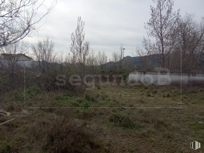 Land for sale at Calle Cruz Caídos, 12, Lozoyuela-Navas-Sieteiglesias, Madrid, 28752 with house, cloud, plant, sky, plant community, natural landscape, tree, land lot, twig and landscape around