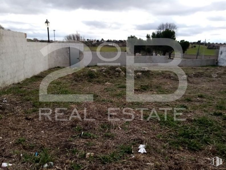 Land for sale at Casco urbano, Pioz, Guadalajara, 19162 with sky, cloud, plant, tree, natural landscape, land lot, grass, wall, asphalt and landscape around