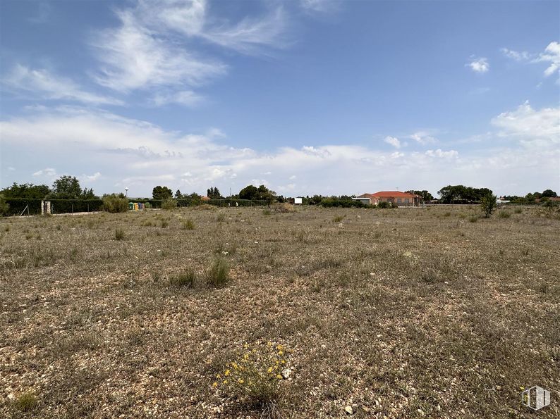 Land for sale at Urbanización El Cuartillejo, Illana, Guadalajara, 19119 with sky, cloud, plant, natural landscape, tree, agriculture, grass, plain, horizon and meadow around