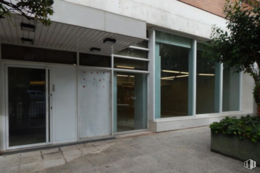 Local en venta en Avenida de Alberto Alcocer, 29, Chamartín, Madrid, 28036 con puerta, ventana, planta de interior, propiedad, accesorio, planta, edificio, fachada, sombra y bienes raíces alrededor