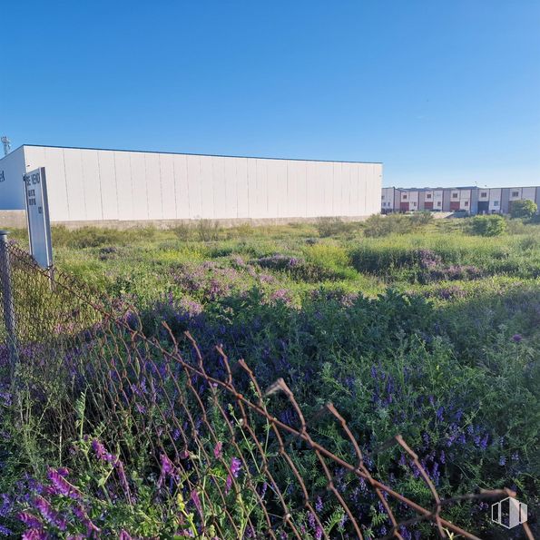 Suelo en venta en Avenida Córdoba, 5, Valdemoro, Madrid, 28341 con flor, cielo, planta, azure, agricultura, paisaje natural, hierba, cubierta vegetal, pradera y planta herbácea alrededor