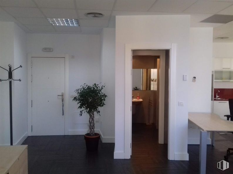 Oficina en alquiler y venta en Edificio Altagracia I, Calle Segundo Mata, 1, Pozuelo de Alarcón, Madrid, 28224 con puerta, planta de interior, mesa, maceta, planta, edificio, alumbrado, madera, suelos y suelo alrededor