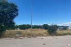 Land for sale at Calle Diseño, Getafe, Madrid, 28906 with street light, sky, plant, road surface, asphalt, grass, tree, plain, landscape and overhead power line around