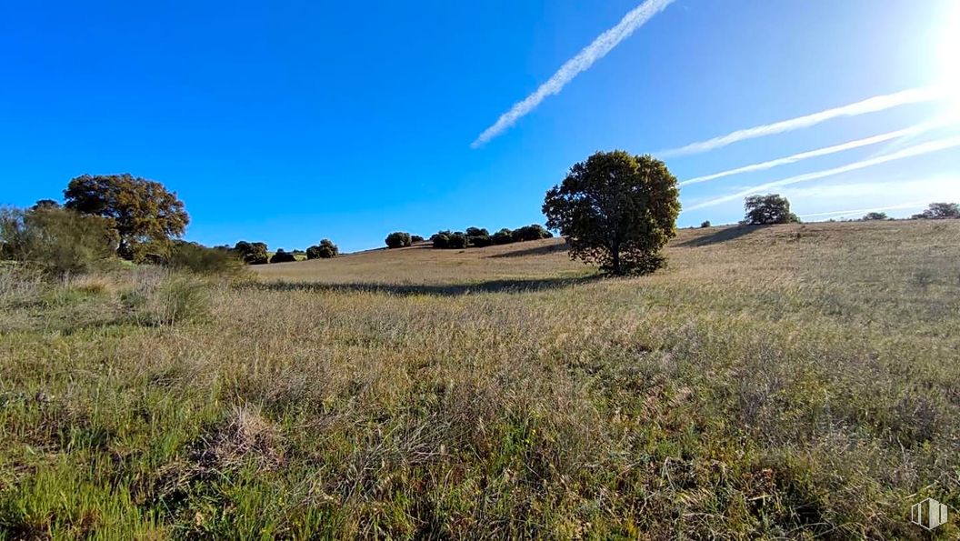 Suelo en venta en Zona La Cortanilla, Villamantilla, Madrid, 28610 con planta, nube, cielo, paisaje natural, árbol, hierba, paisaje, llano, pradera y prado alrededor