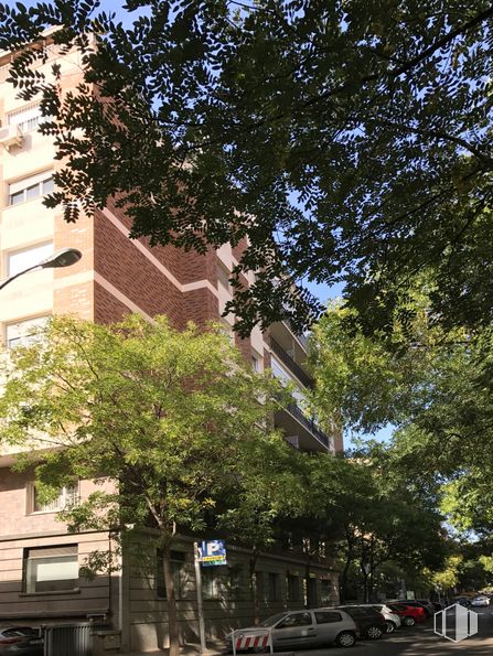 Oficina en alquiler en Calle Diego León, 54, Salamanca, Madrid, 28006 con edificio, luz de la calle, tiempo de día, propiedad, cielo, ventana, rama, árbol, ramita, barrio residencial y vecindario alrededor