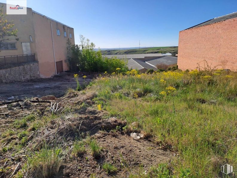 Land for sale at Polígono industrial El Cerro, Segovia, 40006 with plant, sky, plant community, building, land lot, flower, grass, landscape, road surface and residential area around