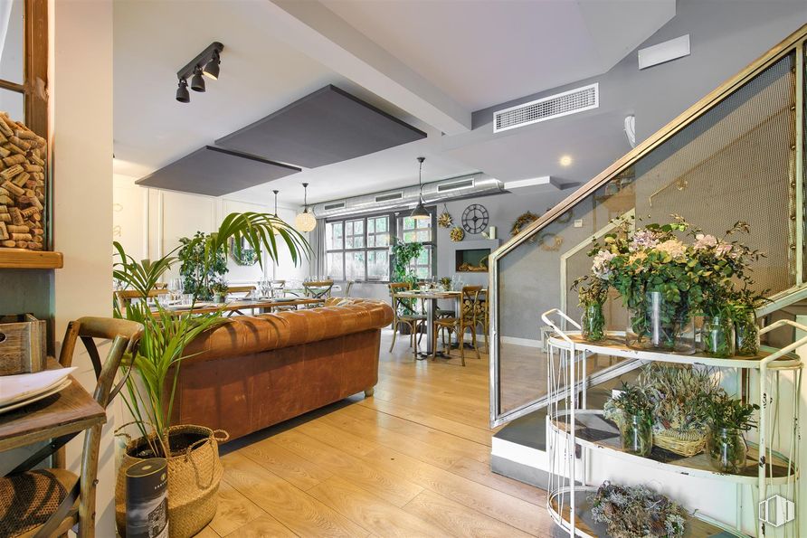 Local en alquiler en Avenida Castillos, 1, Villanueva de la Cañada, Madrid, 28691 con planta de interior, silla, mueble, planta, propiedad, maceta, edificio, suelos, madera y interiorismo alrededor