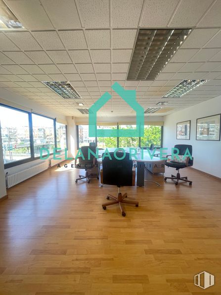 Oficina en alquiler en La Marazuela, Las Rozas de Madrid, Madrid, 28230 con silla, planta, ventana, planta de interior, pasillo, sombra, madera, suelo, piso y árbol alrededor