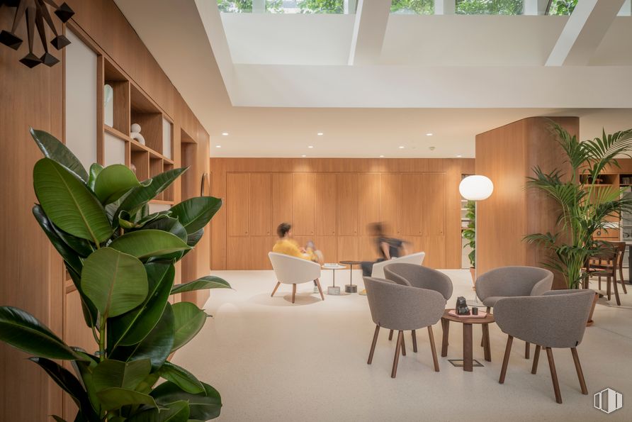 Oficina en alquiler en Calle Velázquez, 34, Salamanca, Madrid, 28001 con planta de interior, persona, silla, planta, edificio, propiedad, mueble, diseño de interiores, madera y pavimento alrededor