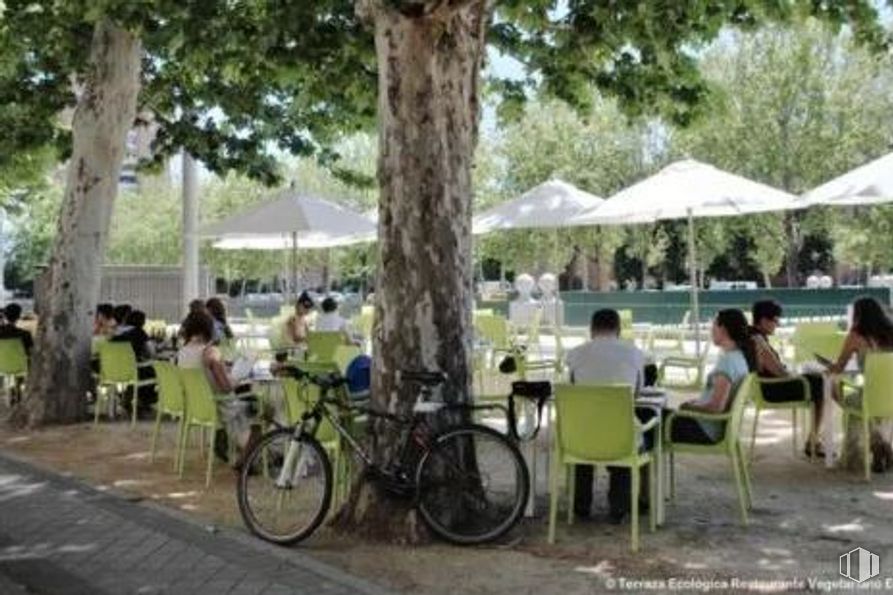 Local en alquiler en Paseo de la Florida, Moncloa - Aravaca, Madrid, 28008 con bicicleta, rueda de bicicleta, persona, silla, rueda, planta, neumático, árbol, sombra y llanta de bicicleta alrededor