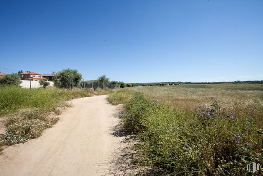 Suelo en venta en Camino Fuente Cordel, Argés, Toledo, 45122 con casa, cielo, planta, comunidad de plantas, paisaje natural, árbol, terreno, hierba, llanura y pastizal alrededor