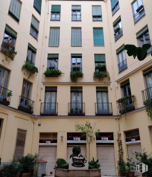 Retail for rent at Calle Conde de Romanones, 5, Centro, Madrid, 28012 with window, building, plant, daytime, property, architecture, urban design, condominium, houseplant and neighbourhood around