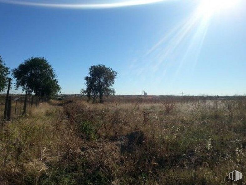 Land for sale at Camino Arroyo Hondo, Navalcarnero, Madrid, 28600 with animal, plant, sky, natural landscape, tree, sunlight, cloud, grass, horizon and landscape around