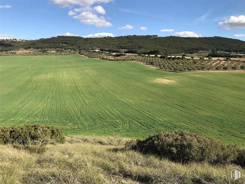 Land for sale at Finca Valdeapa, Chiloeches, Guadalajara, 19160 with animal, cloud, sky, plant, ecoregion, natural landscape, tree, highland, land lot and mountain around