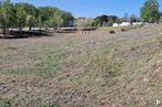 Land for sale at Calle Sueños, Tórtola de Henares, Guadalajara, 19198 with plant community, plant, sky, natural landscape, tree, landscape, grass, plain, grassland and meadow around