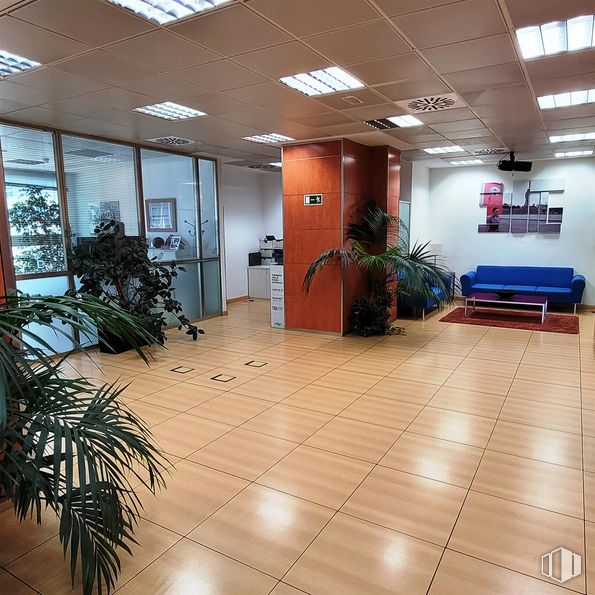 Office for sale & for rent at Calle María Tubau, Fuencarral - El Pardo, Madrid, 28050 with couch, houseplant, furniture, window, plant, property, interior design, architecture, flowerpot and hall around