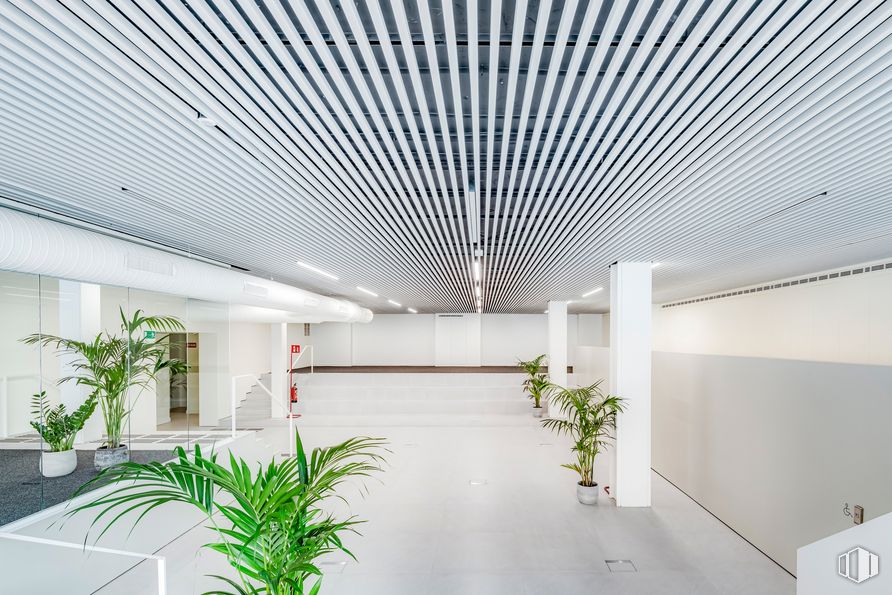 Oficina en alquiler en Calle Vizcaya, 12, Arganzuela, Madrid, 28045 con planta de interior, planta, edificio, verde, diseño de interiores, piso, diseño urbano, sombra, rectángulo y línea alrededor