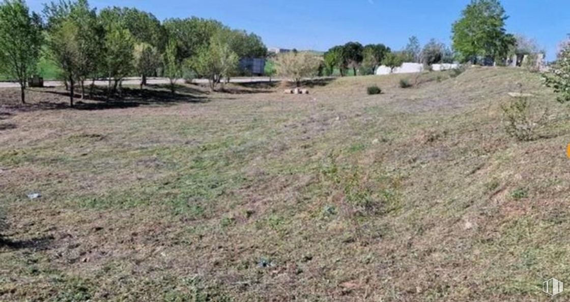 Suelo en venta en Calle Sueños, Tórtola de Henares, Guadalajara, 19198 con comunidad vegetal, planta, cielo, paisaje natural, árbol, paisaje, hierba, llano, pradera y prado alrededor