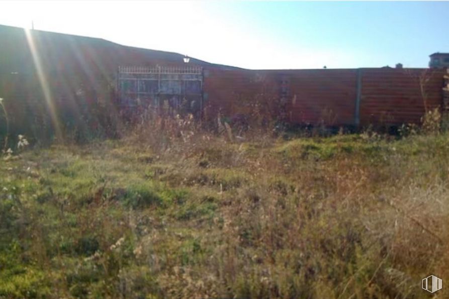 Nave en alquiler en Casco urbano, Lominchar, Toledo, 45212 con planta, cielo, comunidad vegetal, lote de terreno, paisaje natural, paisaje, pradera, arte, familia de las gramíneas y hierba alrededor