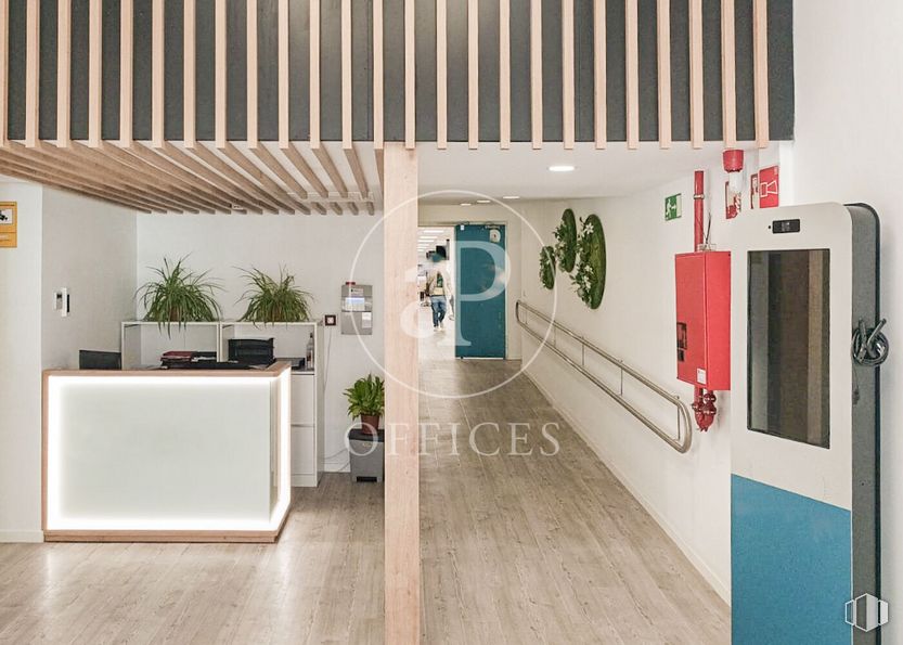 Oficina en alquiler en Calle Miguel Yuste, San Blas - Canillejas, Madrid, 28037 con puerta, propiedad, edificio, planta, planta de interior, producto, interiorismo, arquitectura, suelo y madera alrededor