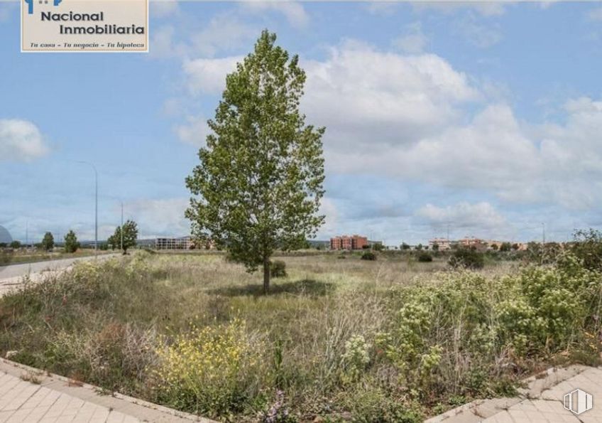 Land for sale at Calle Navaluenga, Ávila, 05002 with cloud, sky, plant, plant community, ecoregion, natural landscape, land lot, tree, grass and plain around