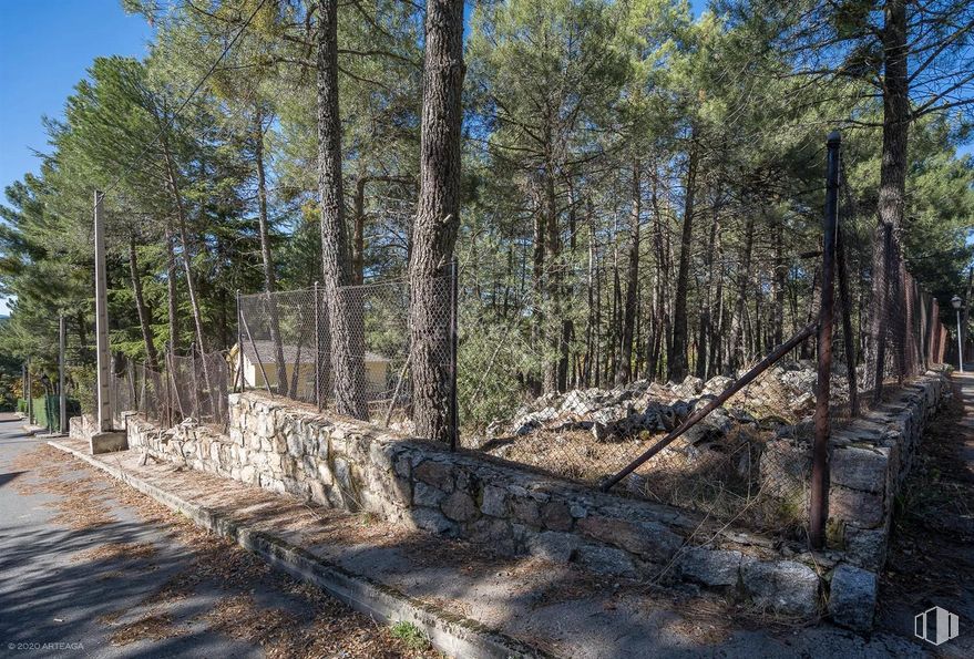 Land for sale at Calle Pino, Las Navas del Marqués, Ávila, 05239 with sky, plant, wood, tree, bedrock, trunk, natural landscape, landscape, forest and woodland around