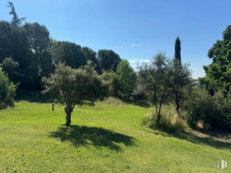 Suelo en venta en Urbanización Montepríncipe, Boadilla del Monte, Madrid, 28660 con planta, cielo, paisaje natural, árbol, lote de terreno, hierba, llano, paisaje, arbusto y sombra alrededor