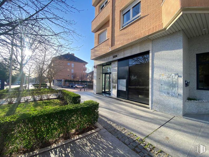 Local en alquiler en Zona Centro, Boadilla del Monte, Madrid, 28660 con ventana, casa, edificio, planta, cielo, superficie de la carretera, asfalto, diseño urbano, barrio y árbol alrededor