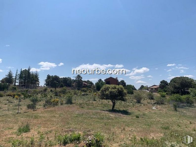 Land for sale at Casco urbano, Navalperal de Pinares, Ávila, 05240 with cloud, sky, plant, natural landscape, tree, land lot, cumulus, grass, plain and horizon around