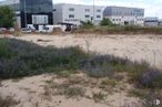 Land for sale at Calle Puerto Guadarrama, 5, Móstoles, Madrid, 28935 with building, sky, cloud, property, plant, ecoregion, window, natural environment, land lot and tree around