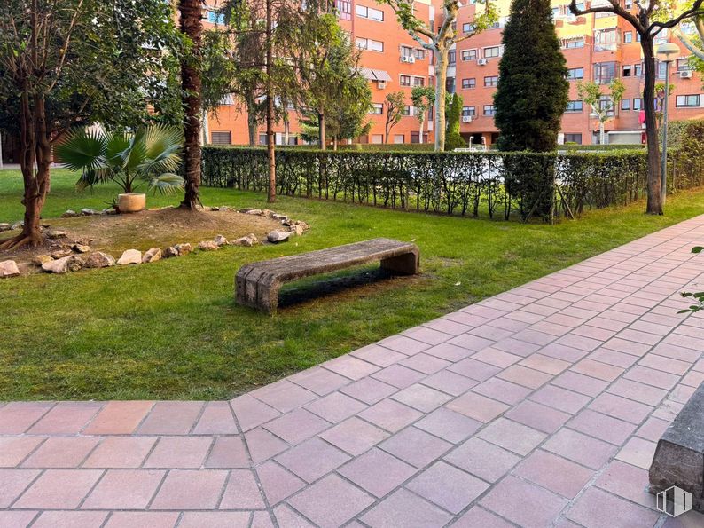 Local en venta en Calle Helen Keller, Getafe, Madrid, 28903 con mesa de trabajo, planta, edificio, árbol, ventana, superficie de la carretera, botánica, banco de exterior, diseño urbano y hierba alrededor