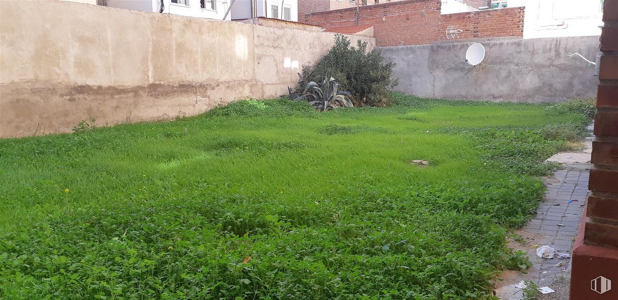 Local en venta en Avenida Nuestra Señora de Valvanera, Carabanchel, Madrid, 28025 con planta, propiedad, lote de terreno, vegetación, hierba, ventana, pared, cubierta vegetal, arbusto y paisaje alrededor