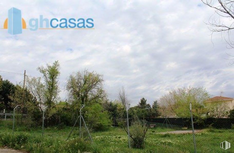 Land for sale at Calle Castillo Gormaz, Torrejón del Rey, Guadalajara, 19174 with cloud, plant, sky, plant community, nature, natural landscape, natural environment, tree, land lot and vegetation around